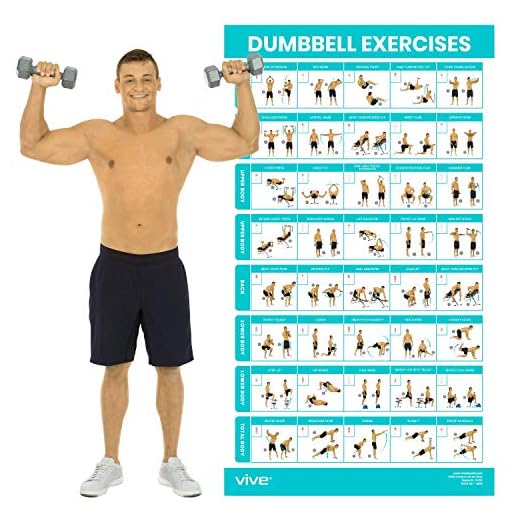 Vive Dumbbell Workout Poster - Home Gym Exercise for Upper, Lower, Full Body - Laminated Bodyweight Chart for Back, Arm, Core and Legs - Free Weight Building Guide For Men, Women, Elderly (30" x 17")