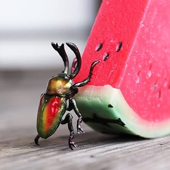 Amazon.co.jp: マグネット(Magnet)FOREST MAG RAINBOW BEETLE