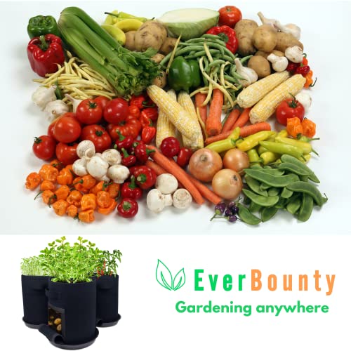 Everbounty 7 Gallon Grow Bags, Extra Thick 400G Fabric Pots With Saucer Trays, 2 Windows | 4-Pack-Blue | Premium Garden Container Potato Planter - Grow All Plants, Mushrooms, Vegetables, Indoors Too #TOP7