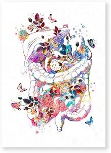 Toile Peinture Cœur Humain Anatomie Vintage - Affiche Art Médical Sans Cadre 40x50cm