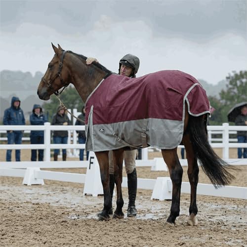 Image of 1200D Waterproof and Breathable Horse Sheet TGW Rding Horse Blanket (70 inch, Wine)