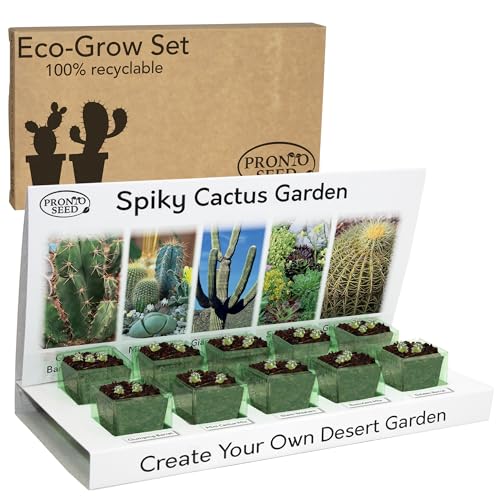 Pronto Seed Grow Your Own Cactus Kit with 5 Seeds Varieties - Indoor Growing Set with Sustainable Packaging Display - Gift for Women, Men - Beginner-Friendly (Cactus Kit)