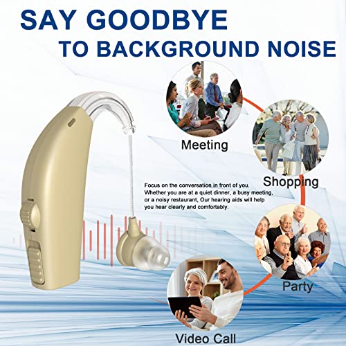 Hearing Aids, Rechargeable Hearing Aids for Seniors with Noise