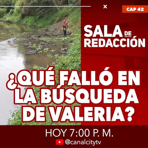 『¿Qué falló en la búsqueda de Valeria Afanador?』のカバーアート