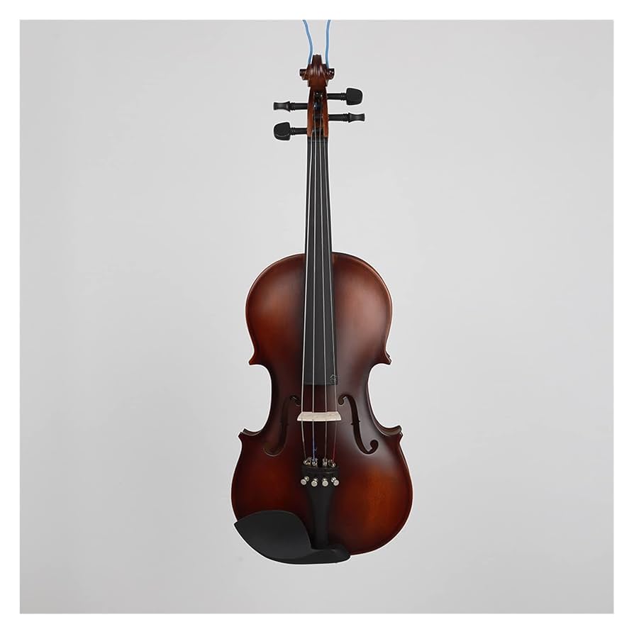 Amazon.co.jp: 弦楽器 バスウッド マットバイオリン 4/4 学生