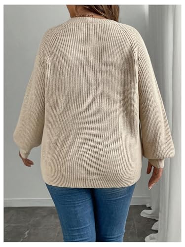 Women's Plus Size Butterfly Sweater Embroidery Long Sleeve Pullover Sweater Crew Neck Knit Tops2