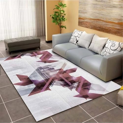 Tapis d'intérieur et d'extérieur gris violet 120x170cm design simple - 2