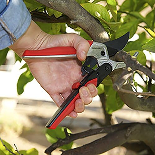 Corona RP 4224D RatchetCUT Pruner in hand, ready for use