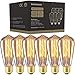 Edison Bulb 25W - 6 Pack - Dimmable Squirrel Cage Filament Style - Incandescent Vintage Antique Bulb for Home Light Fixtures - Clear Glass - E26/E27 Base