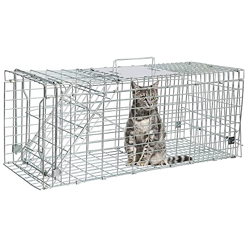 Top 7 Best Food To Trap Feral Cats Reviews 2022 BNB