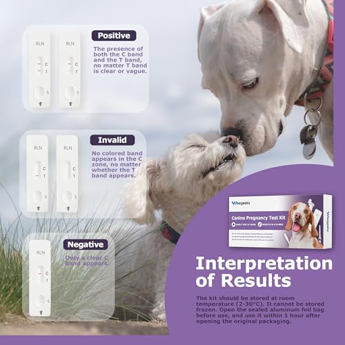 WEEGEEKS Dog Pregnancy Test Kit at Home, Canine Pregnancy Test Strip for Dog and Cat with Buffer Fast and Accurate Detection Pet Clinic Equipment - Thumbnail 4