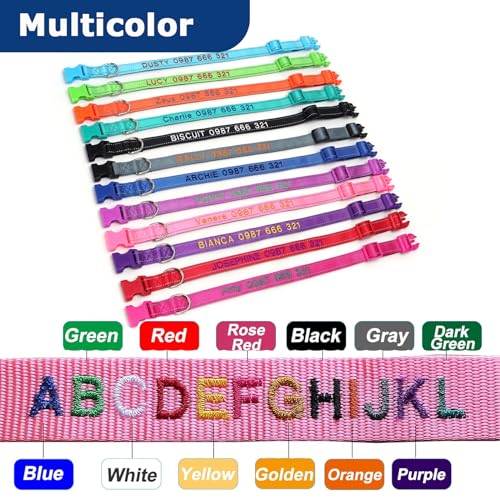 Weiches Neopren-Hundehalsband mit Polsterung & personalisiertes Nylon-Haustierhalsband mit Quick-Release-Schnalle und individueller Stickerei für Name und Telefonnummer, Türkis