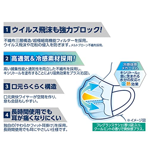 (日本製 不織布)エリエール ハイパーブロックマスク ムレ爽快クーリッシュ ふつうサイズ 30枚(6枚×5パック) PM2.5対応