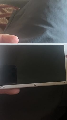 Amazon | Trimui Smart Pro 5インチ ハンドヘルドゲーム