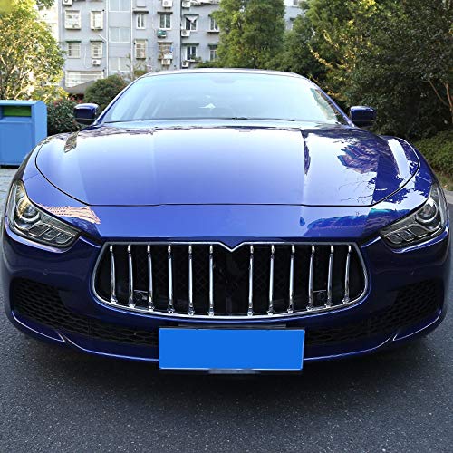 Striscia Decorativa per Modanatura della Griglia