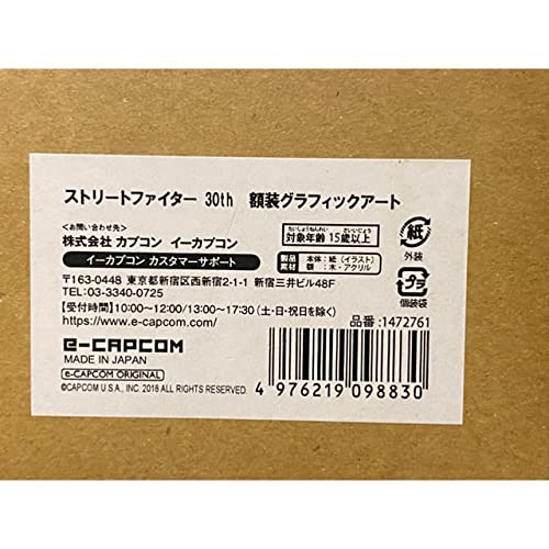Amazon.co.jp: イーカプコン限定ストリートファイター 30th 額装 