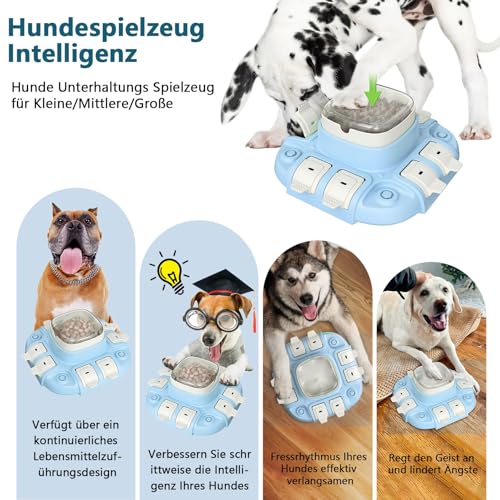 Dufuso Hundespielzeug für Beschäftigung, Intelligenz-Spiel, Hund, unverwüstliches Spielzeug für Hundenapf, Strategiespiel, Interaktives Training, Level 2 (mittelgroß)