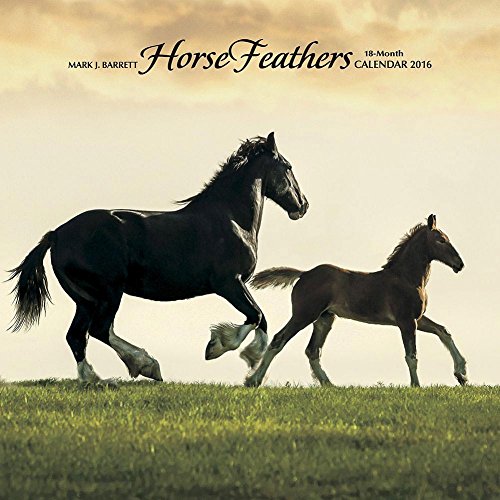Horse Feathers 2016 Wall Calendar