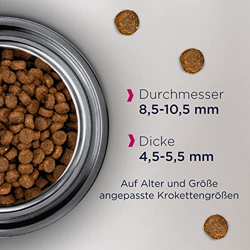 Eukanuba Senior Katzenfutter trocken - Premium Trockenfutter speziell auf die Bedürfnisse älterer Katzen ab 7 Jahre abgestimmt, 2 kg