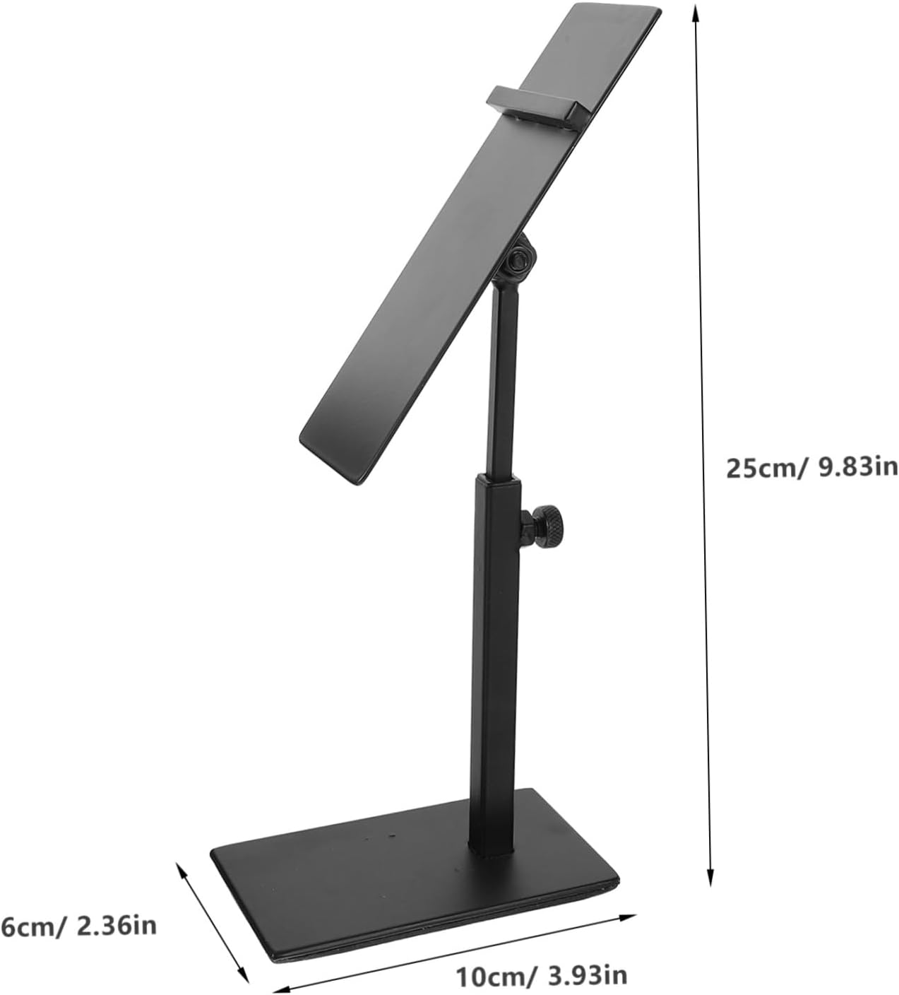 INOOMP Black Stainless Steel Adjustable Shoe Display Shelf Rack for Heels