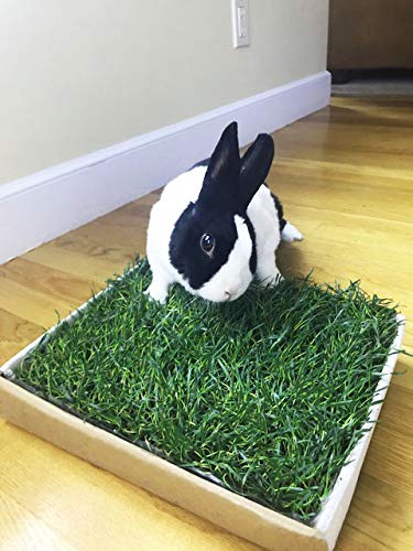 grass mat for bunny