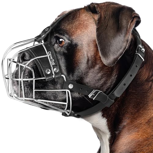 CleverTail Metall-Maulkorb für große Hunde – Körbchen-Maulkorb mit verstellbaren Lederriemen – Käfig-Maulkorb zum Verhindern von Beißen für Hunde mit kurzer Schnauze, Boxer, Bulldogge