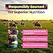 Primal Queen Female-Optimized Beef Organ Superfood Supplement (Beef Liver, Kidney, Heart, & 3 More) - 100% Grass Fed, Pasture Raised Cattle - Balance Hormones, Energy, & More for Women