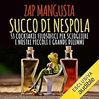 Succo di nespola copertina