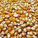 Princeton Popcorn Mushroom Popcorn Kernels - Farmer Direct, Gluten Free, Non GMO - Perfect for Stove Top Popcorn Maker & Air Popper Popcorn Maker - 2lb Bag of Premium Popping Corn 33oz