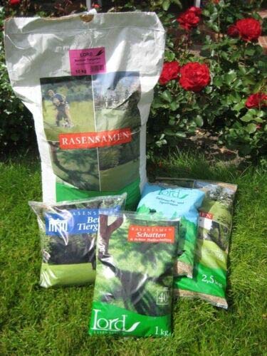 Spiel- und Sportrasen - 1 kg