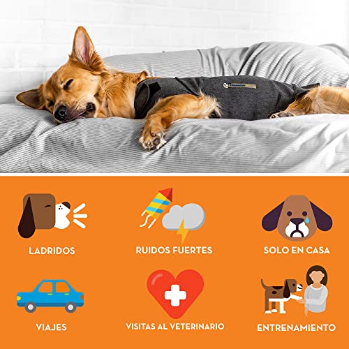 Thundershirt 99001 Hundemantel zur Angstbekämpfung, Größe XS, grau