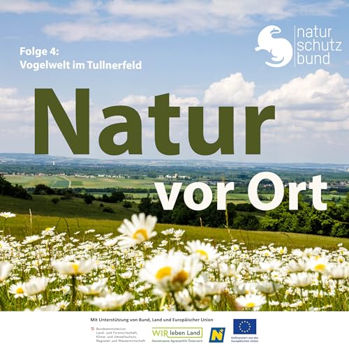 Vogelwelt im Tullnerfeld