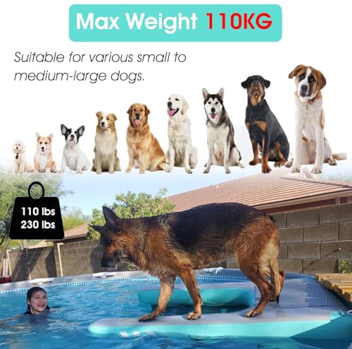 Rampe de piscine pour chien gonflable avec planche flottante stable - 4