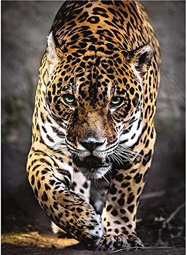 MMAHD 5D DIY Diamond Art Painting Kits for Adults Full,Leopard Full Drill Embroidery Paintings Rhinestone Pasted DIY Painting Cross Stitch Arts Crafts for Home Wall Decor 11.8×15.8Inches