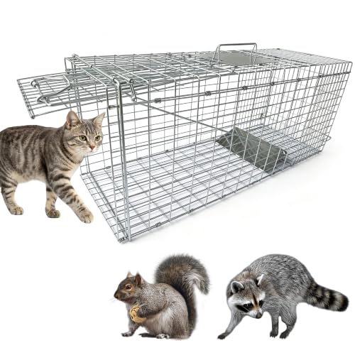 31 Live Animal Trap Cage Heavy Duty Folding Humane Live Animal Cage Trap for Stray Cats Raccoons Squirrels Rabbits Opossums Groundhogs Armadillos up to 8Kg - 79cm L x 28cm W x 33cm H