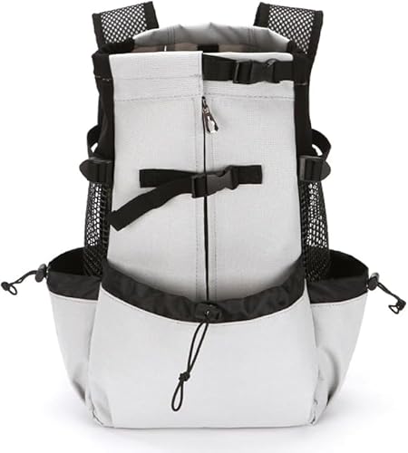 RutexcƔLɍœKȂ̃ybgpobNpbŃAsAUA@AЊQ̔ɍœKłBybg̗hSn[lXAȒPŁAʋC bVfUC͏^E^ybgɍœKłB