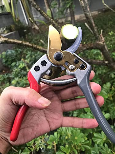 Image of Garden Shears, Japanese labor-saving Garden Scissors, Pruning Shears and Garden Secateurs for Woman and arthritis weak, Professional Branch scissors(Red-grey)