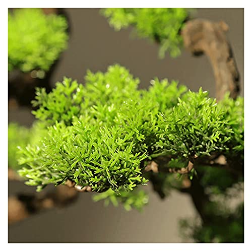 Artificial Trees Artificial Bonsai Pine Tree, 21 Inch Faux Potted Plant, Fake Tree Pot Ornaments Cedar Bonsai Plant for… - Afbeelding 4