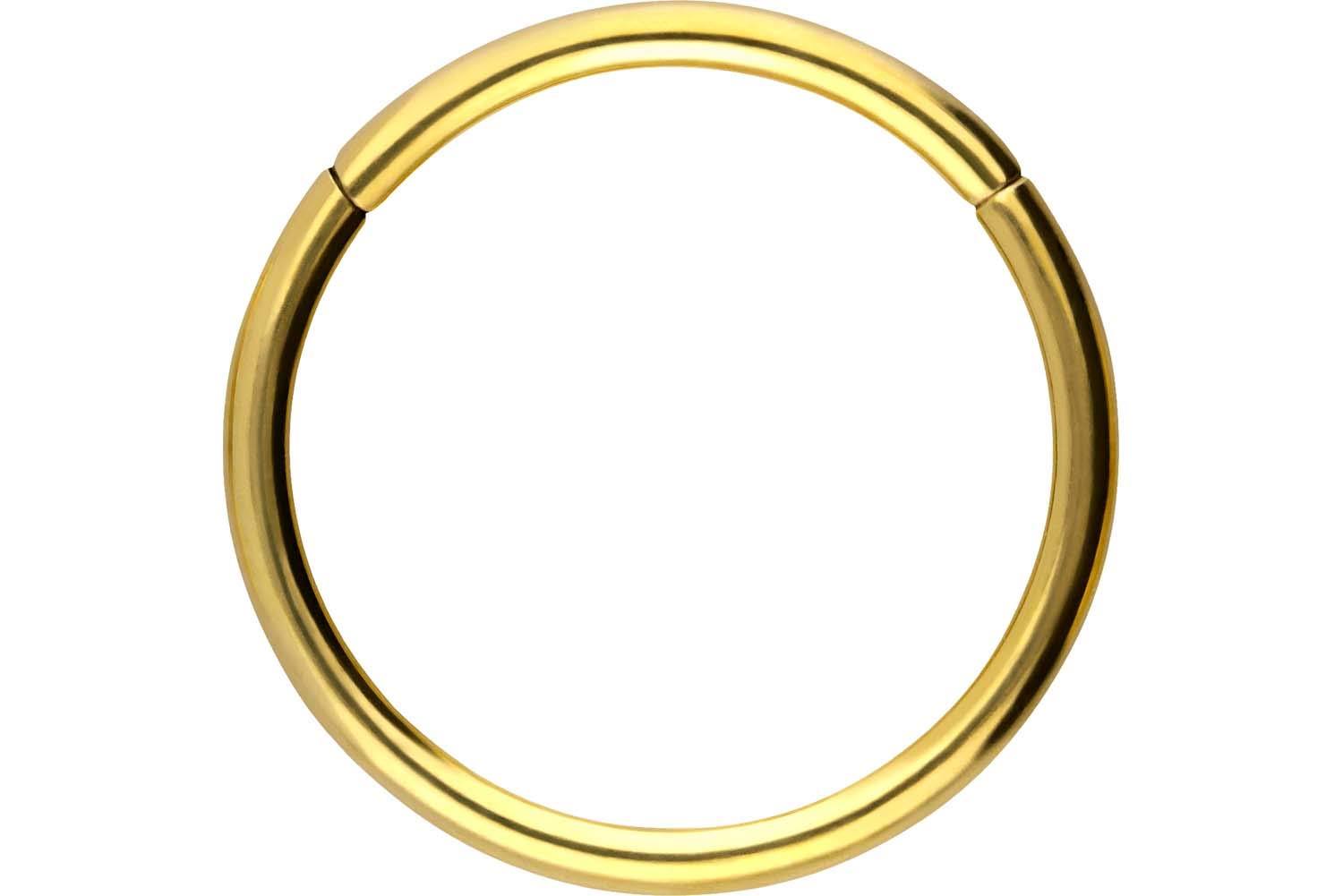 PIERCINGLINE Anillo segmento Clicker de acero quirúrgico – Piercing en oro, plata, rosa, negro o azul – para nariz, tabique, oreja, hélice o tragus — view 100