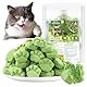 50g Katzengras Snacks, Gefriergetrocknet Snacks für Katzen, Katzengras Fertig Gewachsen für die Zahnpflege, Katzengrasstäbchen Haarknäuel Entfernen