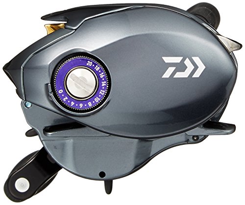 ダイワ(DAIWA) ベイトリール 17 タトゥーラ SV TW 8.1R (2017モデル) 2枚目