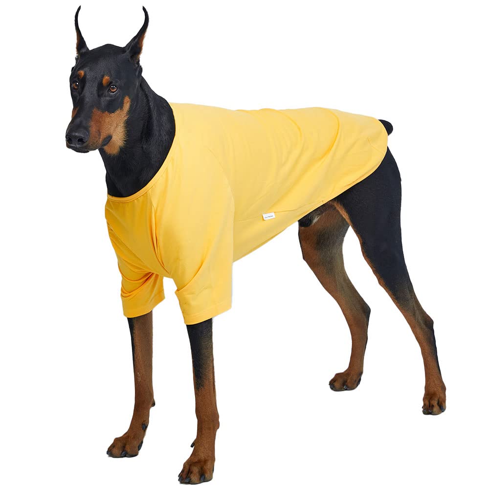 Lucky Petter ärmelloses Hundeshirt – Elastisch, Weich, Größe S, Blau