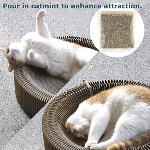 Sala multifuncional para cat Scratcher, almofada redonda dobrável com uma bola, o melhor lugar para