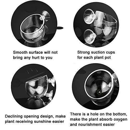 Feelfly - Confezione da 2 bicchieri per piante