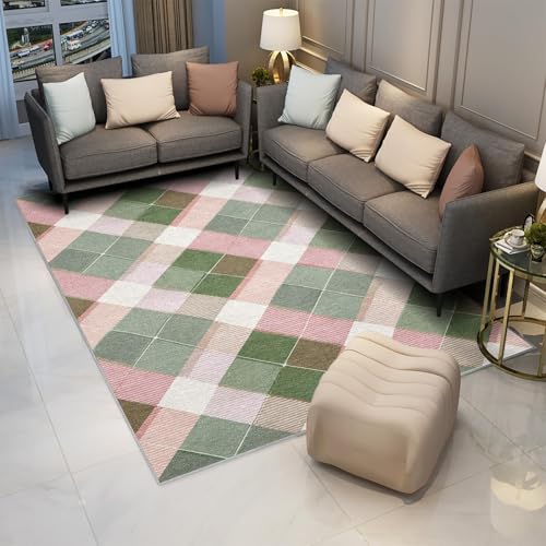 Tapis lavable rose et vert tapis d'intérieur moderne rectangulaire