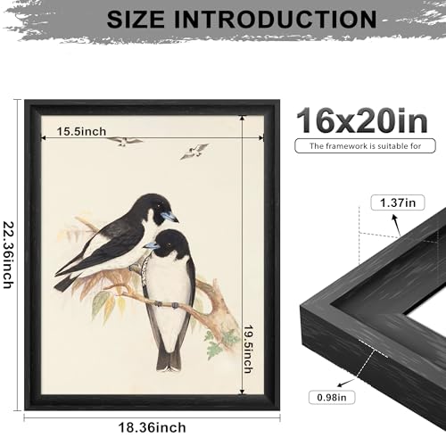 Image of 16x20 Frames as Poster Frames, 1.37-In Wide MDF Frame with Plexiglass, 16 x 20 Picture Frames for Wall, Black