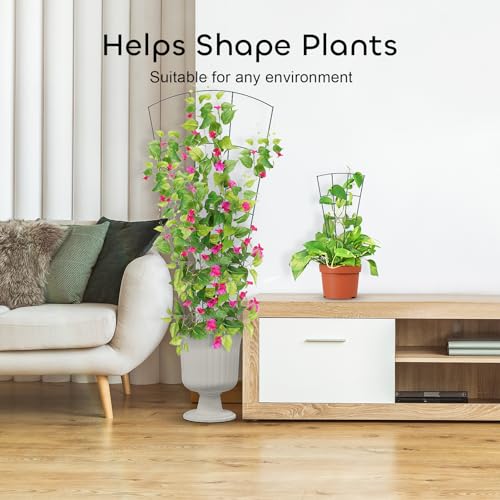 image for GROWNEER 6 Pcs 43