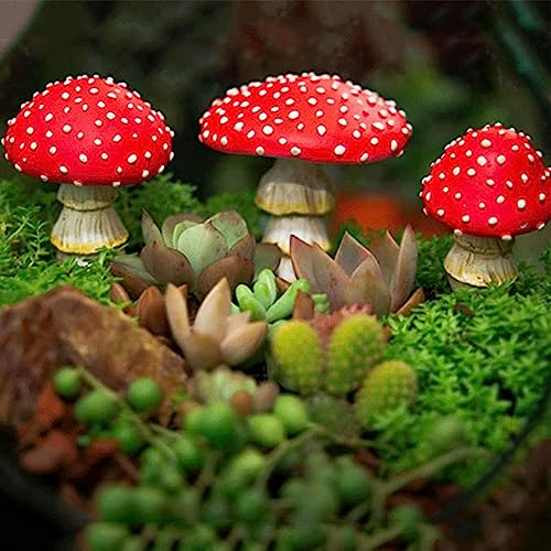 Decoración Exterior, Imagen adicional