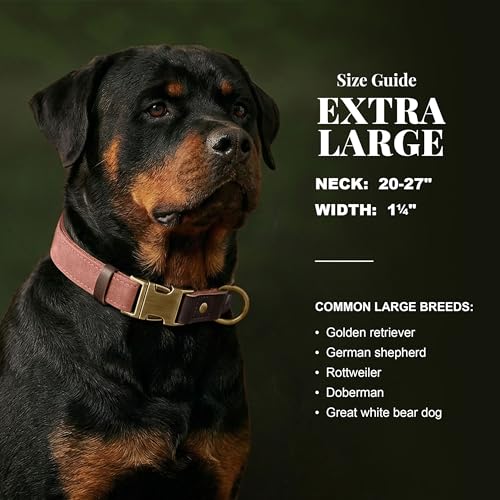 Image of Didog PU Leather Dog Collar for Large Dogs, Soft Nylon Lining, Pink XL