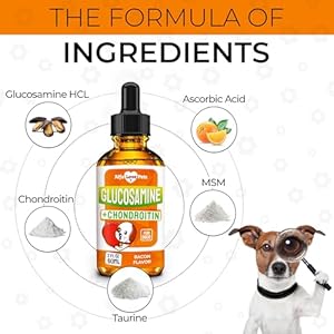 Glucosamine-for-Dogs-Liquid--Hip-and-Joint-Supplement-Dogs-Liquid--Dog-Joint-Supplement-Liquid--Glucosamine-for-Small-Dogs--Liquid-Glucosamine-for-Dogs--Bacon-Flavor--2-Oz - Cucciolini Doodles   Glucosamine-for-Dogs-Liquid--Hip-and-Joint-Supplement-Dogs-Liquid--Dog-Joint-Supplement-Liquid--Glucosamine-for-Small-Dogs--Liquid-Glucosamine-for-Dogs--Bacon-Flavor--2-Oz